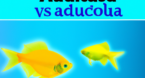 2. Cuántas veces se debe cambiar el agua del acuario