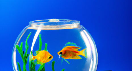 20. Cómo controlar la temperatura del acuario en verano