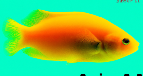 24. Cuánta luz solar puede recibir un acuario