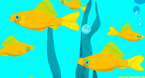 25. Cómo poner en cuarentena a nuevos peces