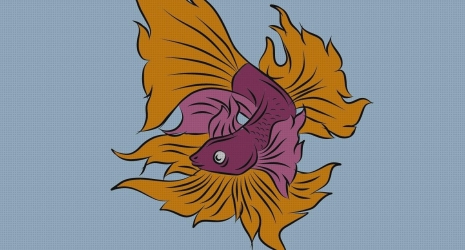¿Qué tipo de acuario es adecuado para tus peces Betta?