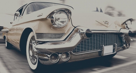 Acuarios auto-sostenibles: la manera más fácil de cuidar la vida acuática
