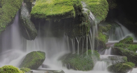 Descubre los acuarios con efecto cascada que sorprenden a tus visitantes