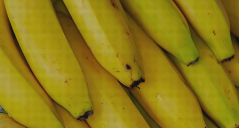 Los acuarios tropicales más recomendados para tu hogar