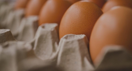 2. ¿Cuál es la diferencia entre un alimentador automático y uno manual?