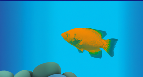Consejos para elegir el tamaño adecuado de un acuario