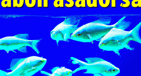 Consejos para evitar la sobrepoblación en un acuario