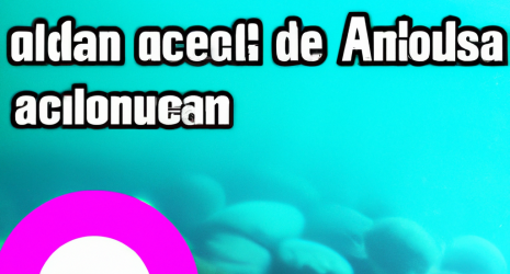 ¿Cuál es el ambiente más indicado para un acuario de peces disco?
