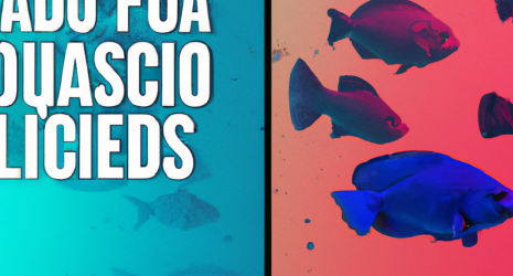 ¿Cuál es la historia de los filtros fotográficos en redes sociales?