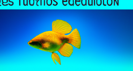 ¿De qué forma los peces de agua dulce se protegen de las corrientes fuertes?