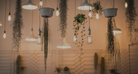 ¿Qué colores son los más adecuados para lograr una decoración elegante?