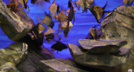 Eficiencia energética en los sistemas de producción de criaderos de peces