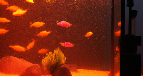¿Es necesario tener un termómetro en el acuario para controlar la temperatura?