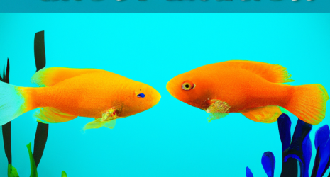 ¿Es recomendable tener peces tropicales y anfibios en el mismo acuario?