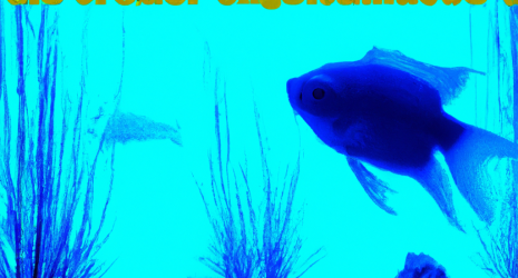 ¿Existe un límite de decoración recomendado según el tamaño del acuario?