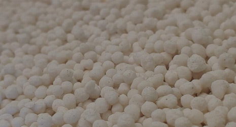 19. ¿Qué función cumplen los químicos y suplementos en la agricultura?