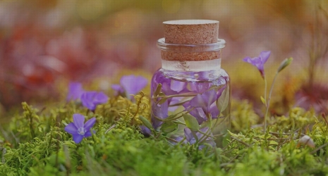 Renueva tu día a día con los filtros para infusiones que purifican el agua.