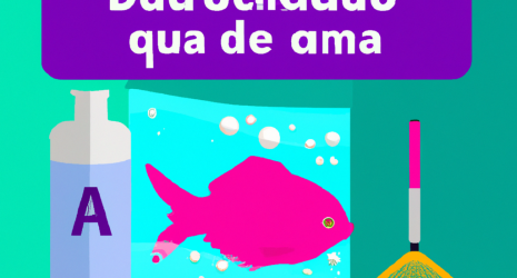 Guía de limpieza para un acuario reluciente