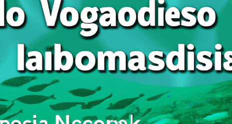 Importancia de los bosques de algas para la supervivencia de los peces