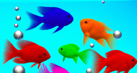 La importancia de la socialización en los peces de un acuario comunitario