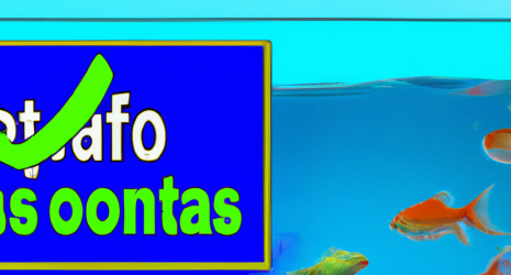 La importancia de los test de calidad del agua en un acuario