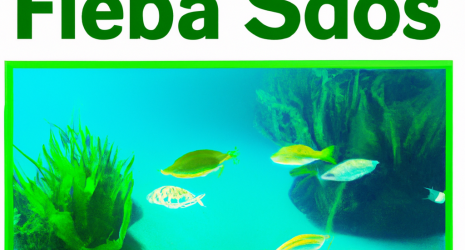 Los 10 mejores acuarios de agua salada para tu hogar