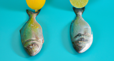 ¿Los alimentos light son una opción saludable?