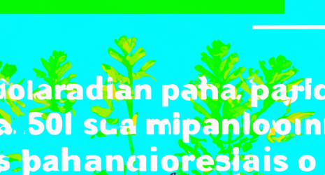 Los expertos recomiendan: plantas naturales para un acuario saludable