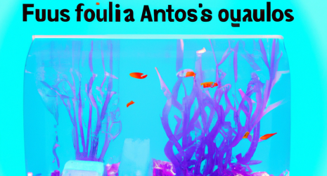 Los mejores accesorios para personalizar tu acuario