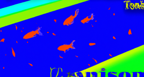 ¿Los peces tropicales pueden experimentar miedo?