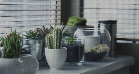 ¿Cómo integrar la naturaleza en la decoración de interiores?