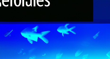 ¿Qué consecuencias legales enfrentará el acuario por la filtración?