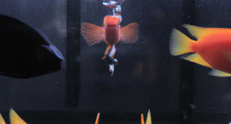 ¿Se ha evaluado el impacto económico de la filtración en el acuario?