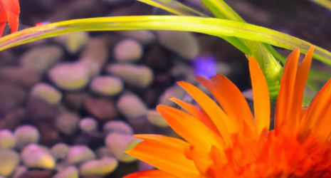 ¿Se pueden utilizar flores reales en la decoración de un acuario?