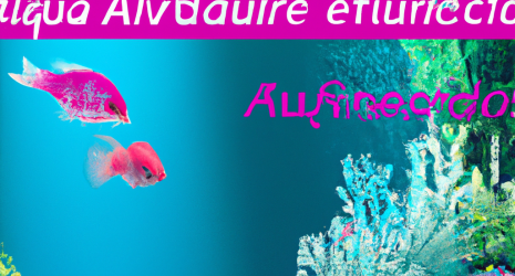 Tips para decorar tu acuario con un estilo acogedor y moderno